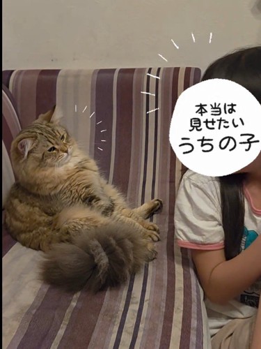 猫と見つめ合う子ども