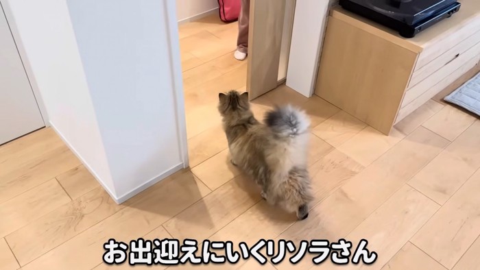 お出迎えをするリソラちゃん