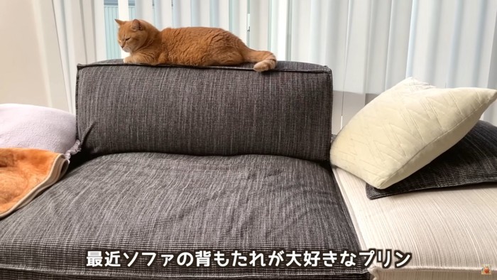 テロップ「最近ソファの~」