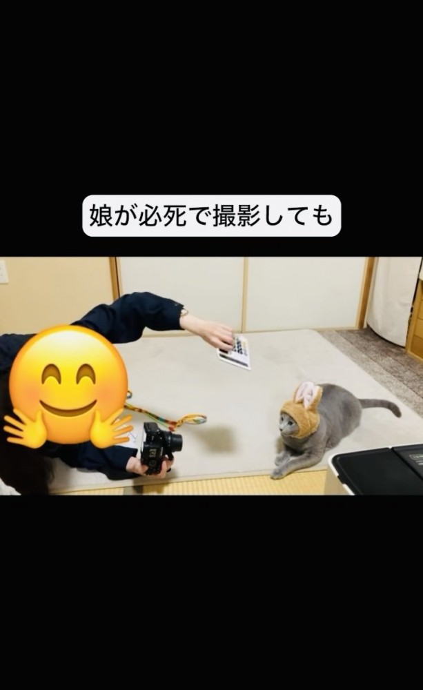 うさぎの被り物を被って娘さんに撮影されるロシアンブルー