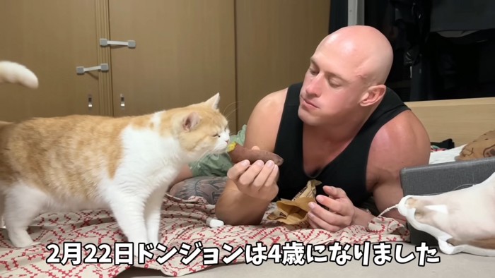 焼き芋をもらう猫