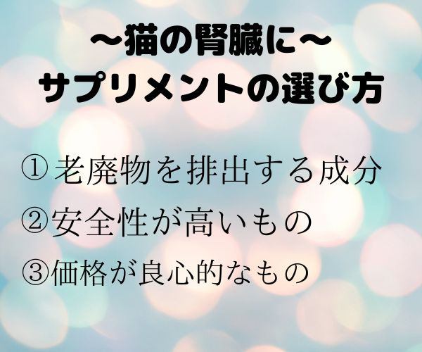 動物病院にいる猫