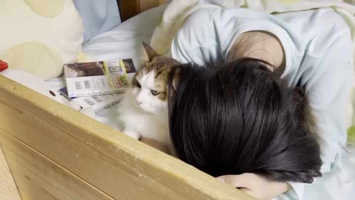 人の頭の横にいる猫