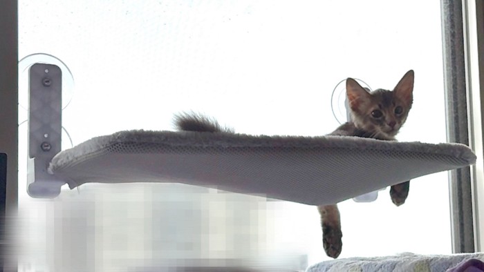 ベッドの上の湊くん