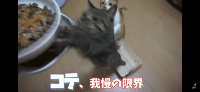 我慢の限界