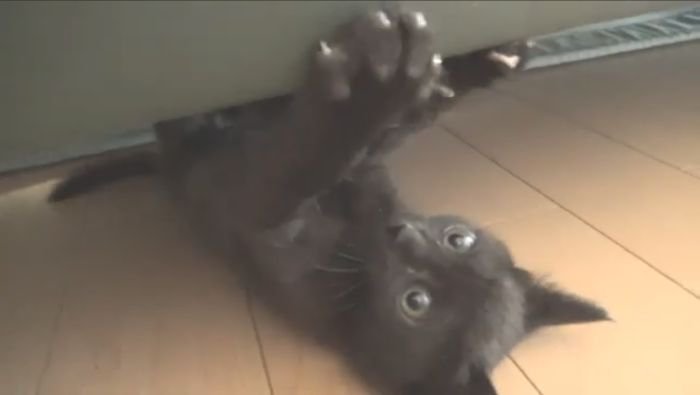 逆さ走り!
