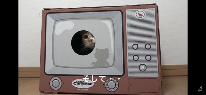 ニャンTV