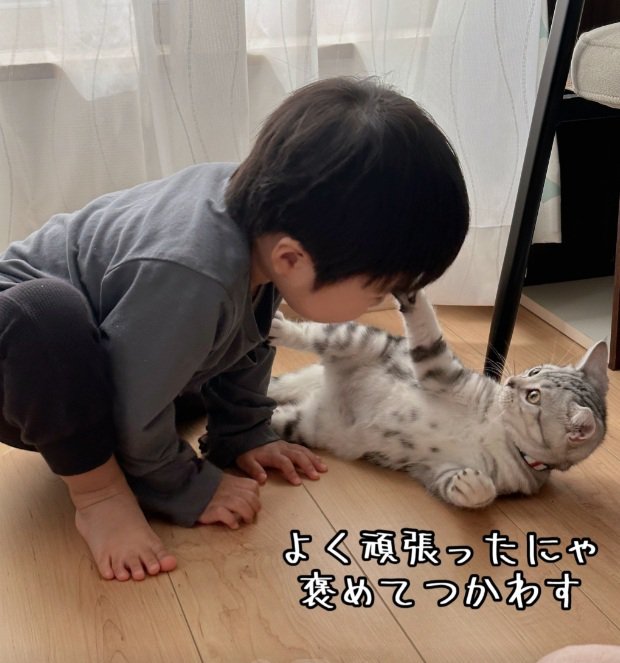 子供のあたまにふれる子猫