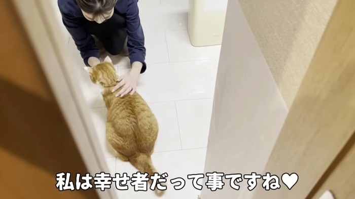 飼い主に撫でられる茶トラ猫と笑顔の飼い主