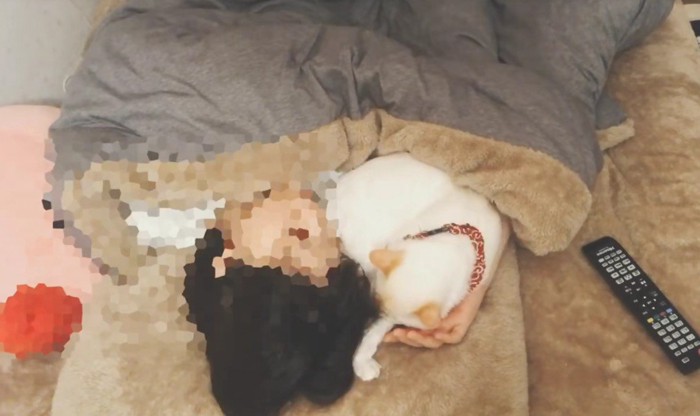 一緒に寝る猫と飼い主