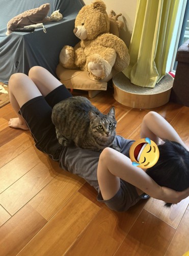 仰向けになっている女性の腹に座る猫