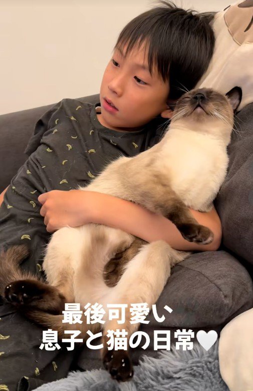 猫を抱いている子どもと抱かれている猫