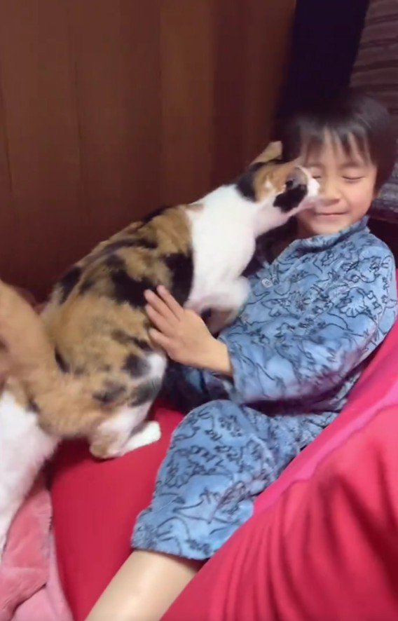 ベッドの上の男の子と猫