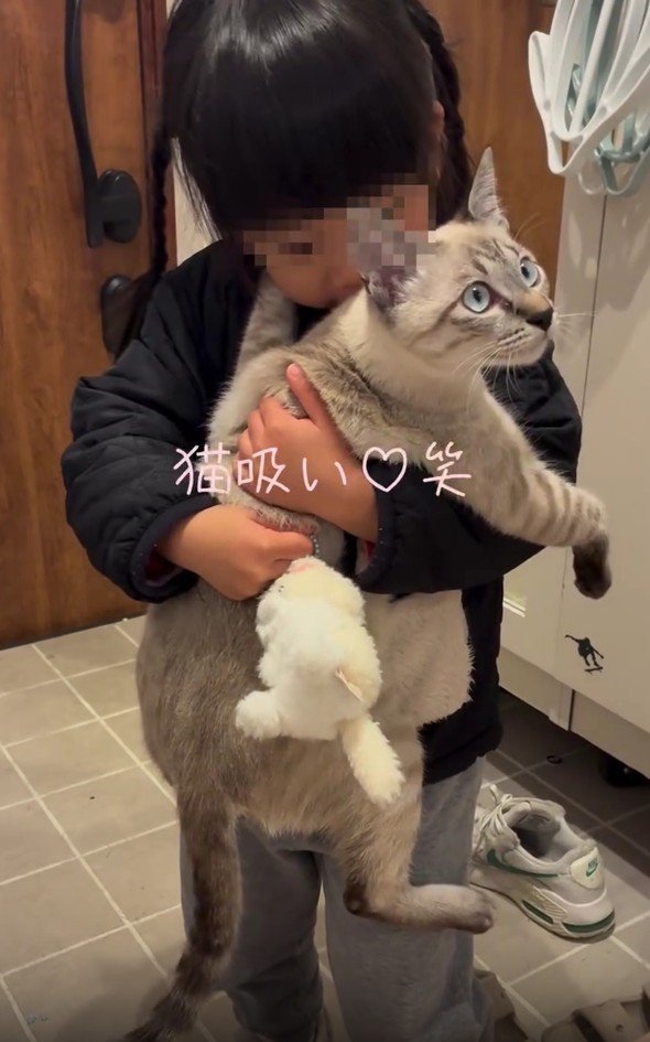 猫を抱っこする女の子