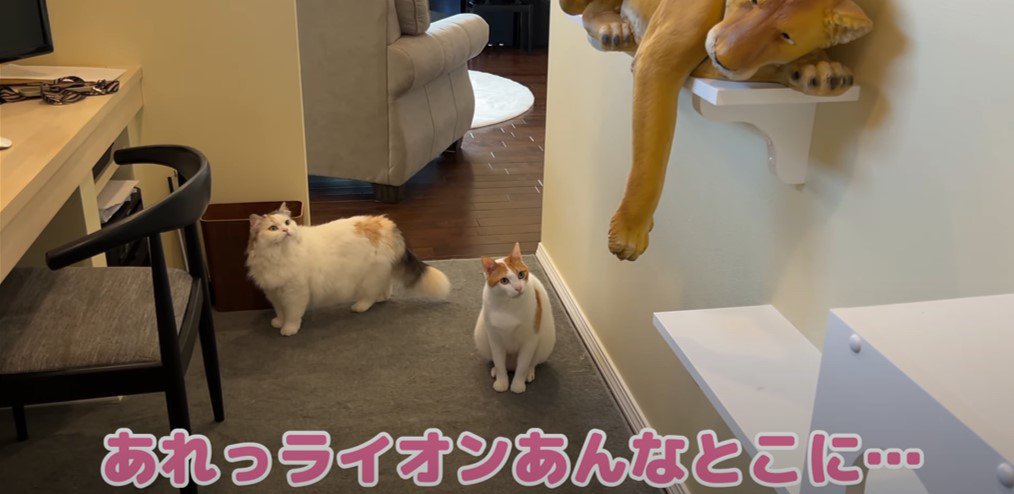 キャットタワーの上にライオンの置物、床に座ってそれを見る猫2匹