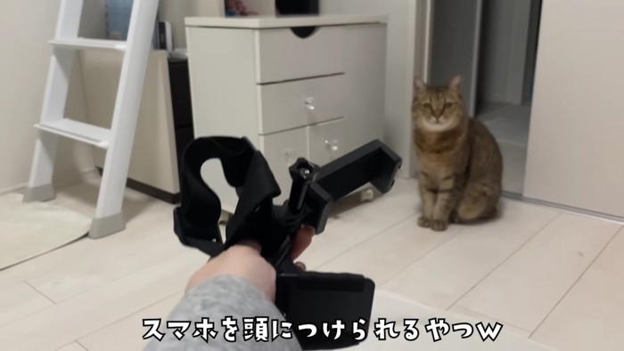 ヘッドマウント式スマホ固定スタンドをみにらくんに見せる飼い主さん