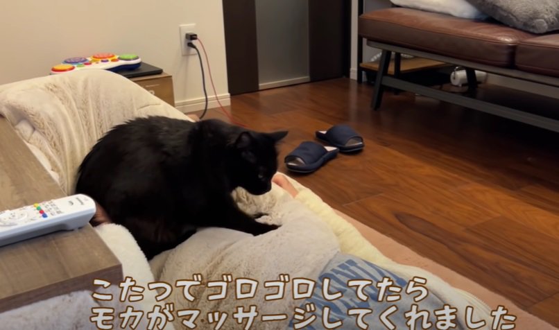 ふみふみする黒猫