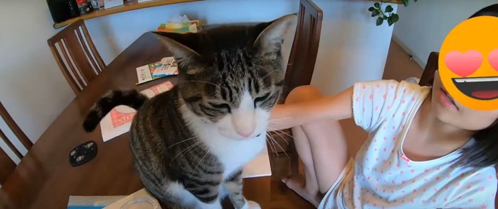 猫と子ども