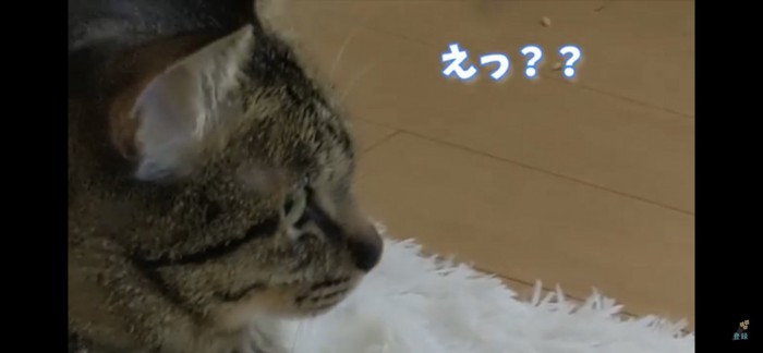 何が起きたか分からない