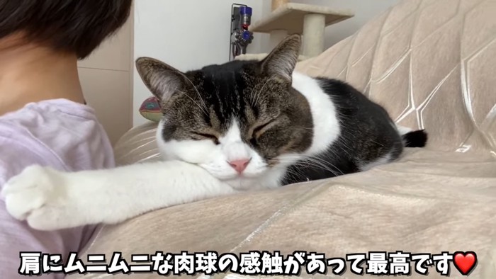 前足を伸ばして寝る猫