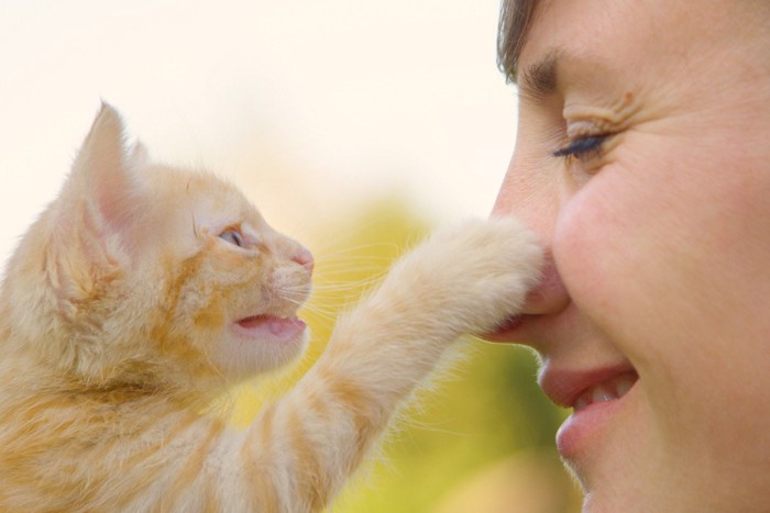 女性の鼻をチョイチョイする猫