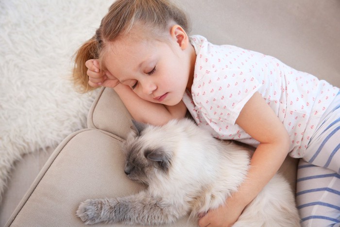 いっしょに寝る猫と子ども