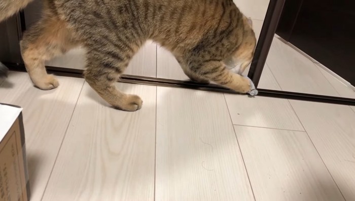 床に落として