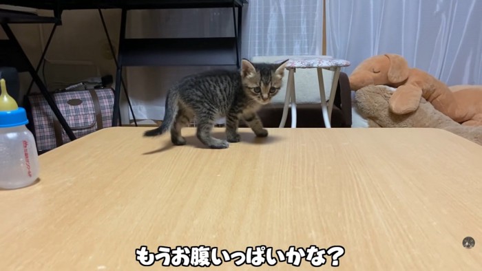 テロップ「もうお腹いっぱいかな？」