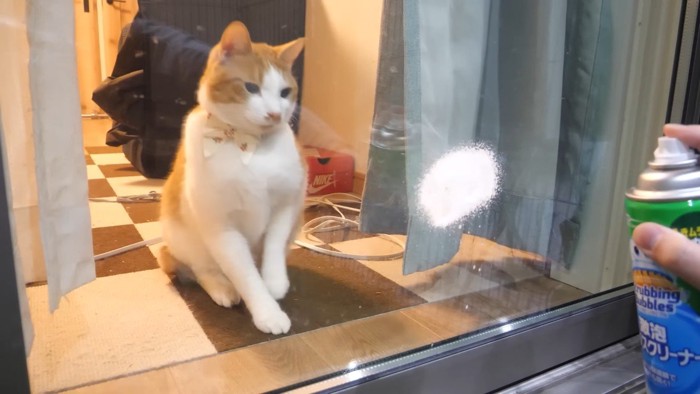 目を細めるチップくん