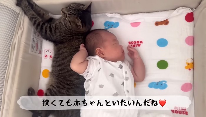 背中合わせ