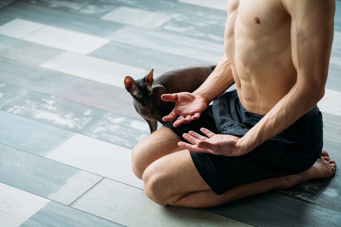 運動する男性と猫