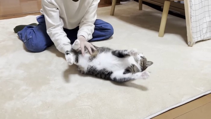 向かって左に転がされ中