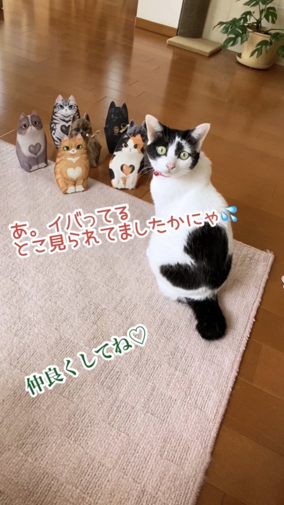 猫の置物と振り向いた猫