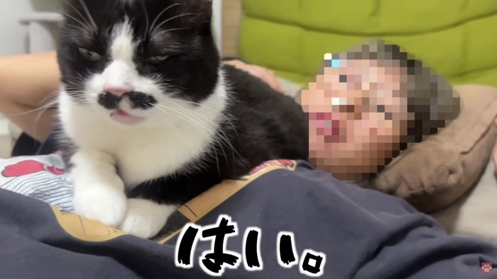 おしゃべりをするくろまめちゃん