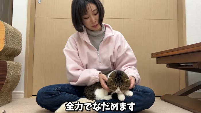 顔をなでられる猫