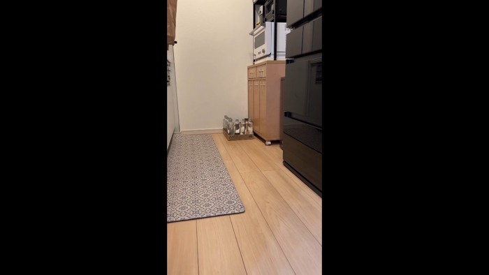 遠くから
