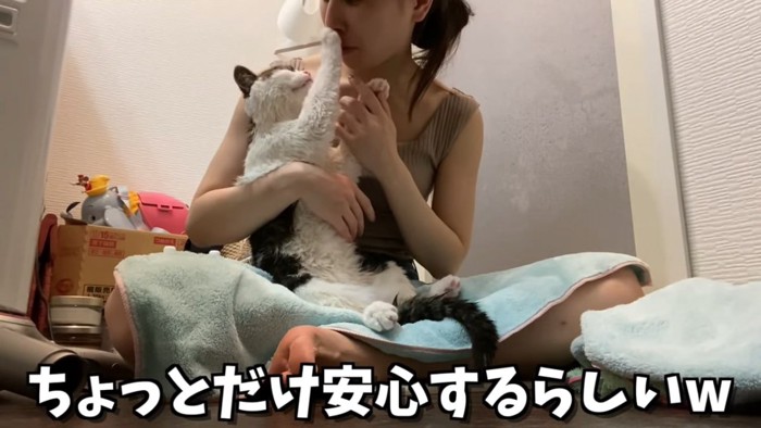 飼い主さんの顔を触る猫