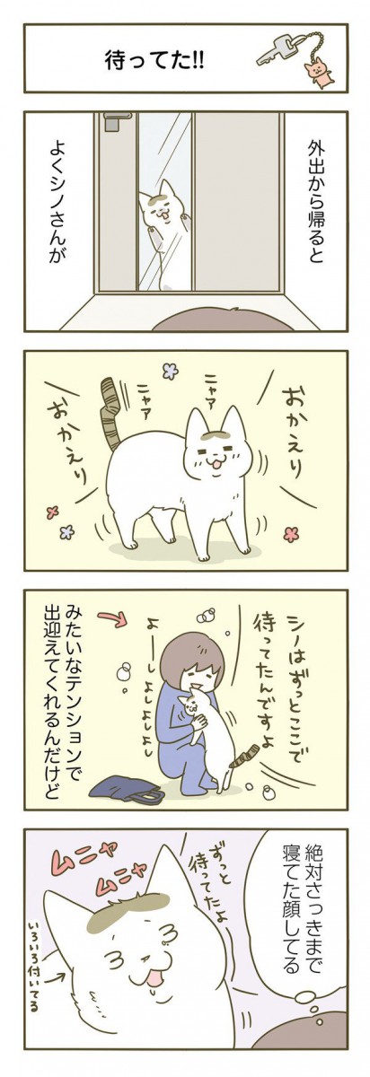 待っていた猫