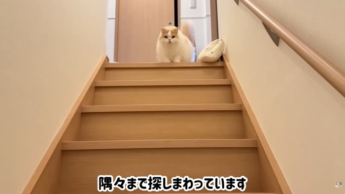 テロップ「隅々まで~」