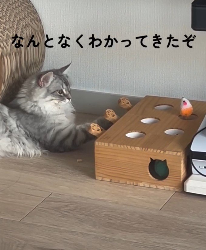 「なんとなく~」と書かれた写真