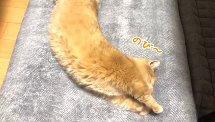 のび〜