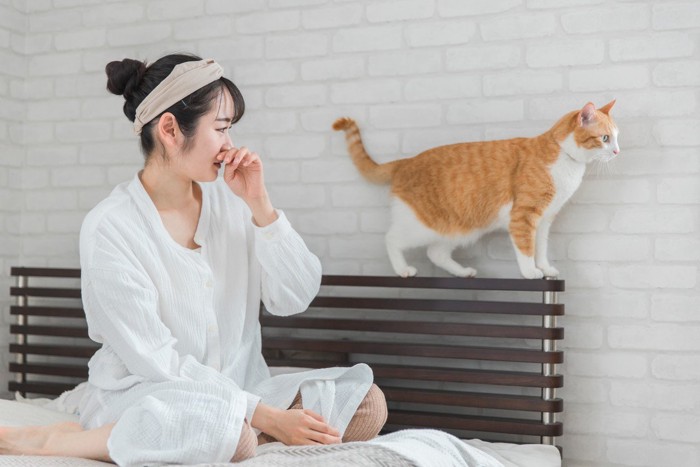 猫と女性