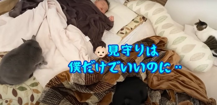 猫3匹と眠る赤ちゃん