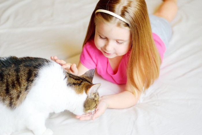 女の子の手からご飯を食べる猫