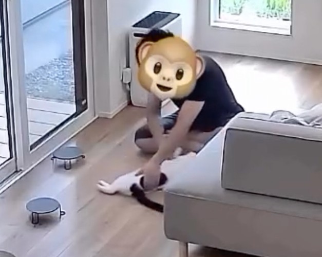 猫を回す男性2