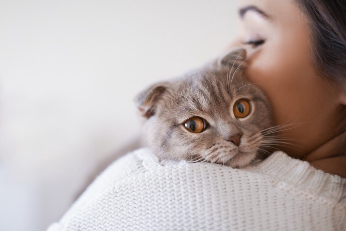 飼い主に抱っこされている猫