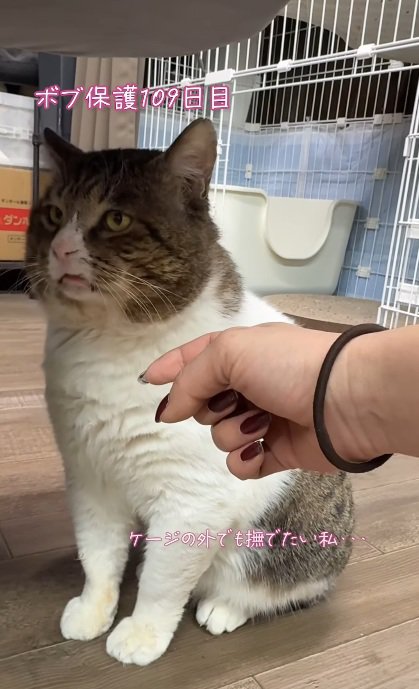 考える