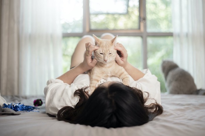 寝ている飼い主の胸の上で撫でられている猫