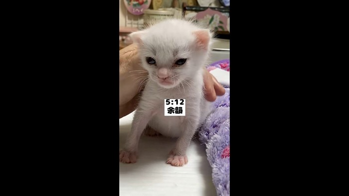 余韻(目を閉じそうに)