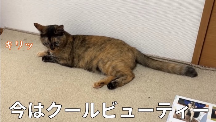 キリッ